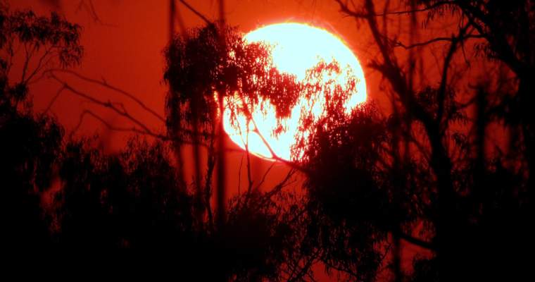 Green Start-Up: Cel mai cald an din istorie - 2023