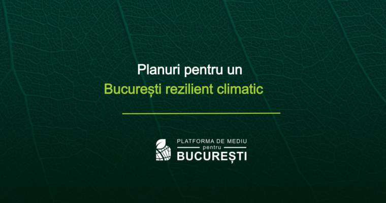 Green Start-Up: 500.000 de lei pentru proiecte verzi din București