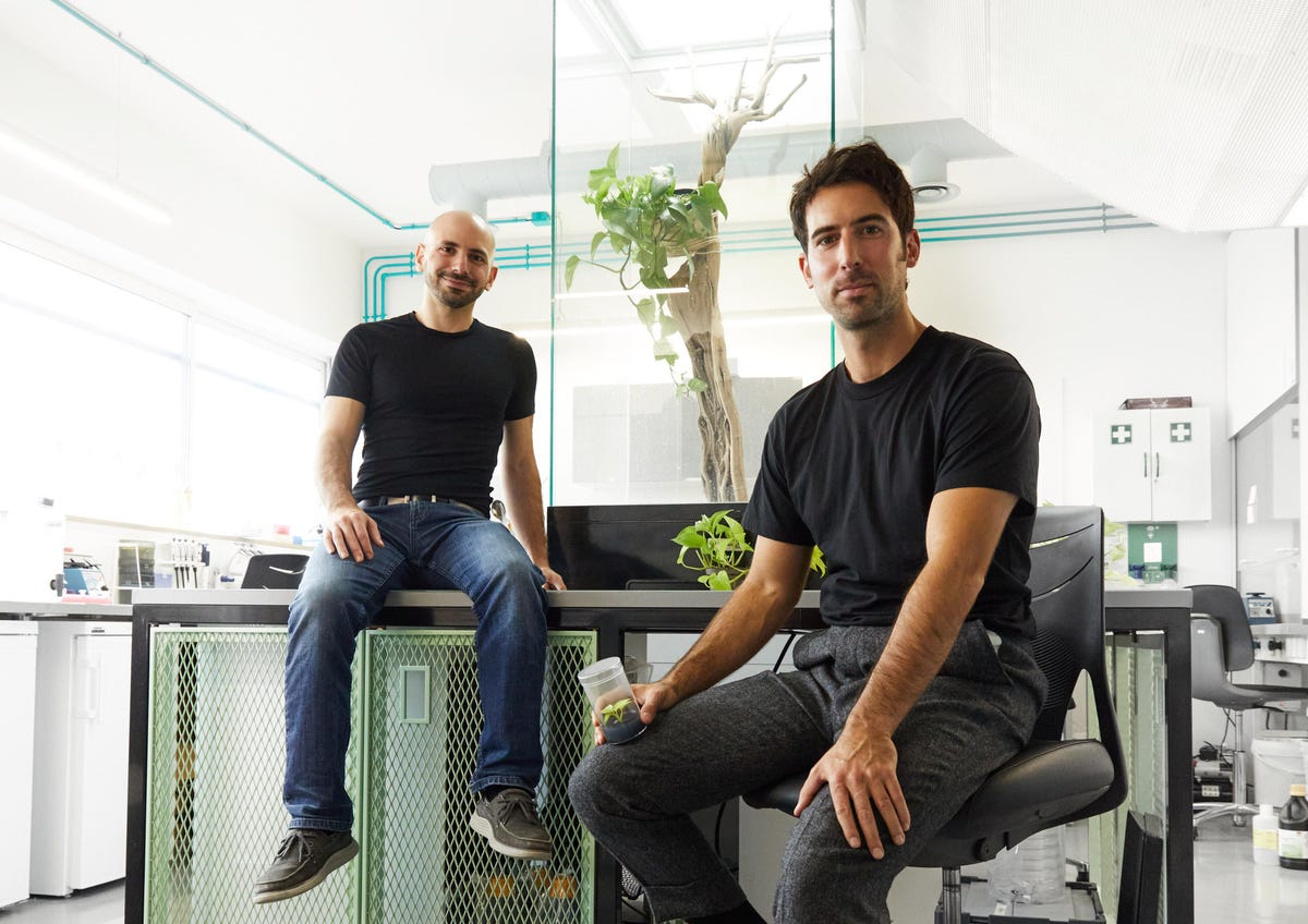 Forbes.com: antreprenorii din spatele plantelor care scapă de poluare