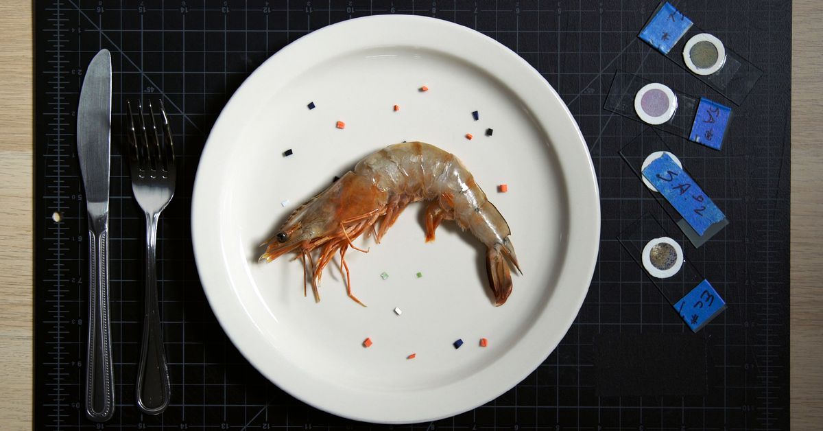 The Verge: Cât plastic am ajuns să consumăm din cauza poluării