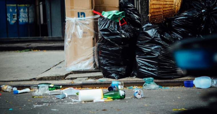 Green Start-Up: Pedepse mai mari dacă arzi gunoaie sau le arunci peste tot