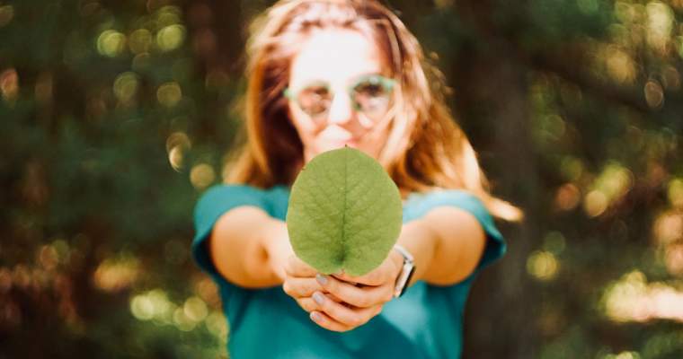 Green Start-Up: 5 pași ca să devii o companie sustenabilă
