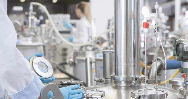 Green Start-Up: Un startup finlandez vrea să creeze albușuri artificiale