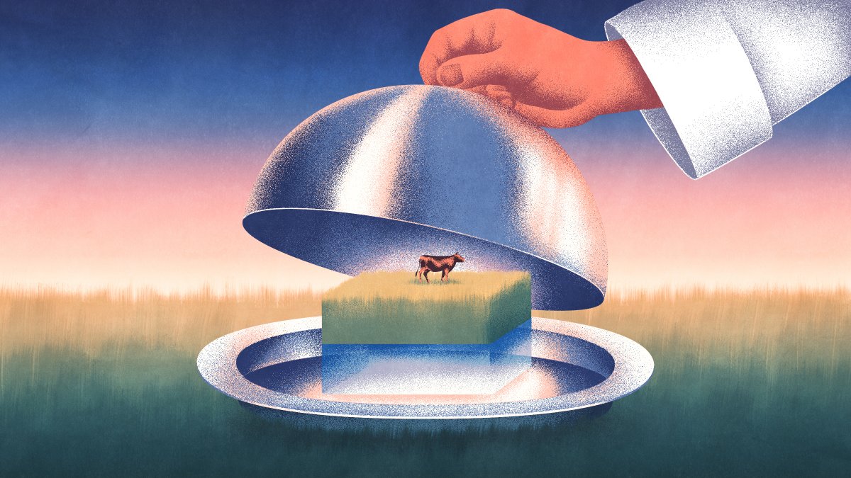 Outside: Finalul industriei cărnii de vită