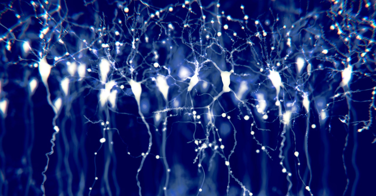 Wired: Cum un set de date neuronale ale șoarecilor poate ajuta cercetătorii
