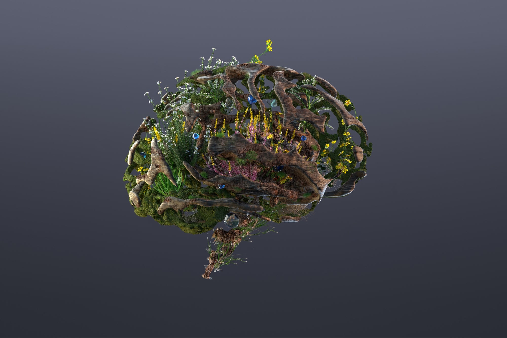 Entrepreneur: cum ar putea arăta inovația în sustenabilitate anul viitor