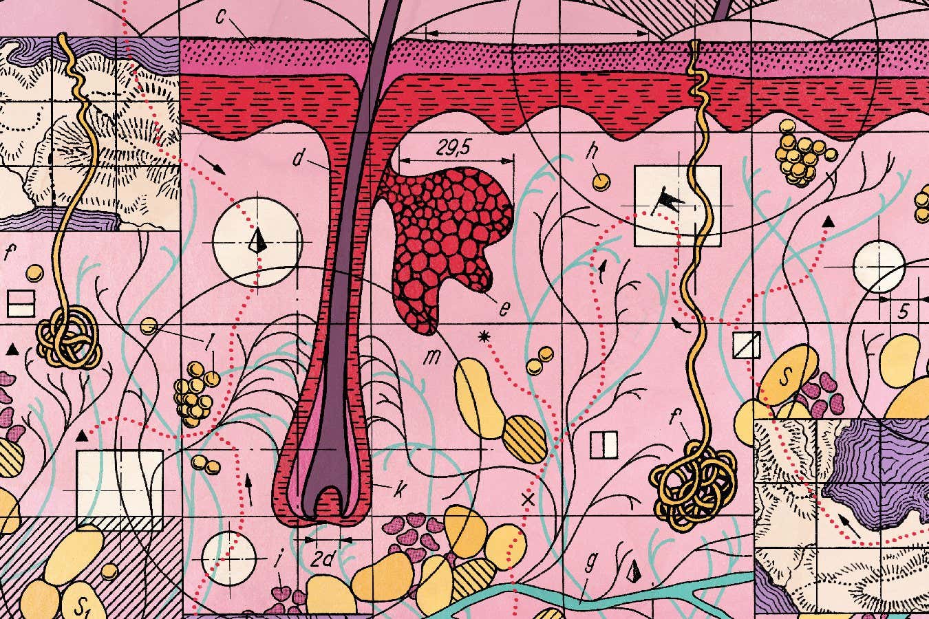 Ne Scientist: O nouă metodă de cartografiere a corpului nostru poate ajuta la tratarea bolilor grave