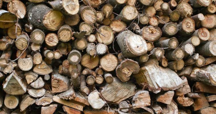 (Green Start-Up): Cum se reciclează lemnul și de ce este important să nu irosim această resursă