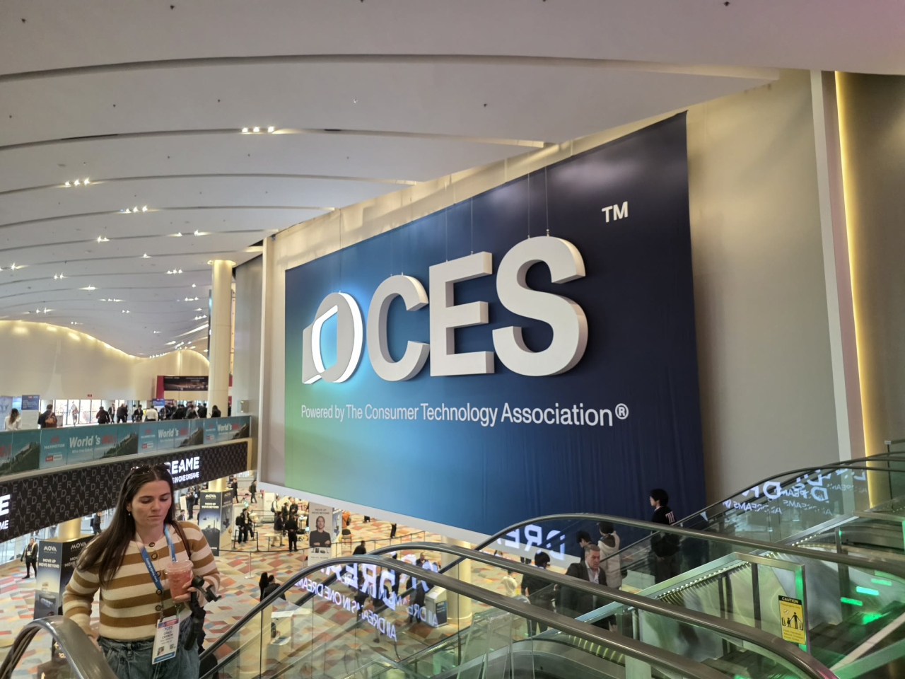 titlu-test-ovidiu mihaila