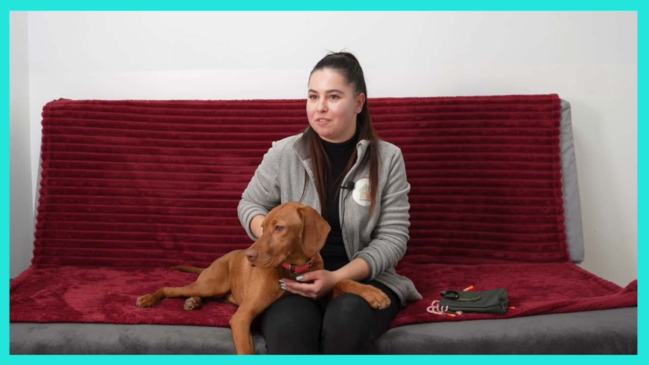 Secretele meseriilor din România: meseria perfectă pentru orice iubitor de animale