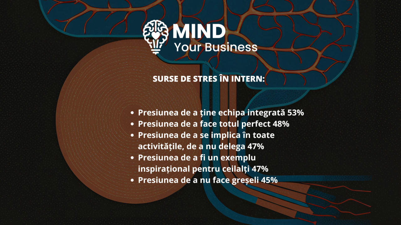 Surse de stres în intern