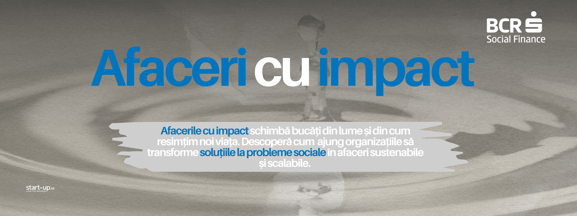 Afaceri cu impact
