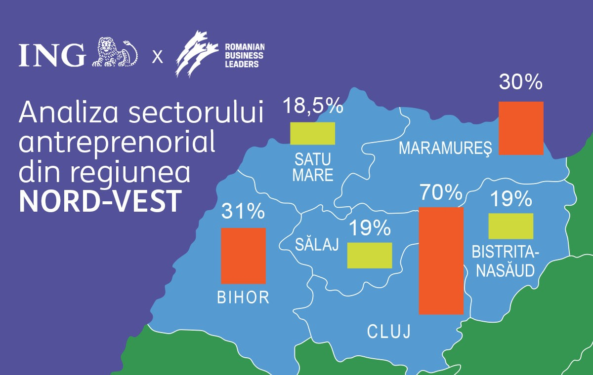 Harta regiunilor cu cele mai mari cifre de afaceri din Nord-Vestul țării