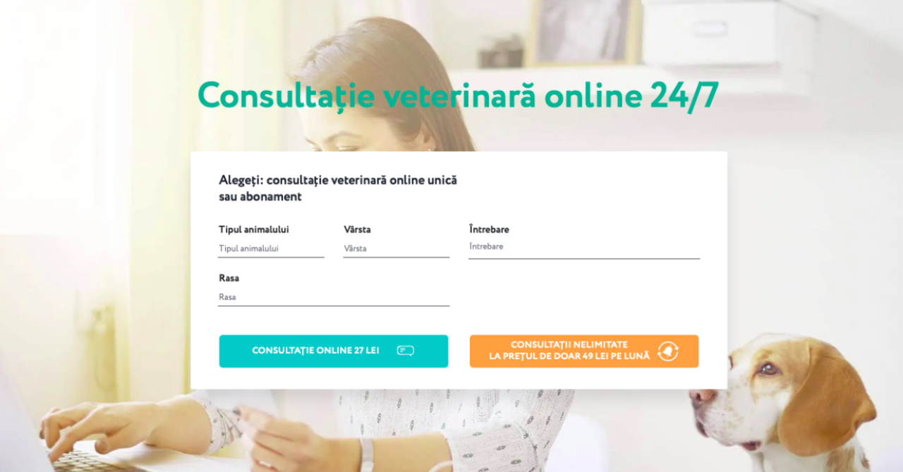 Vetonline: Ucrainenii care oferă consultații online pentru animalele de companie