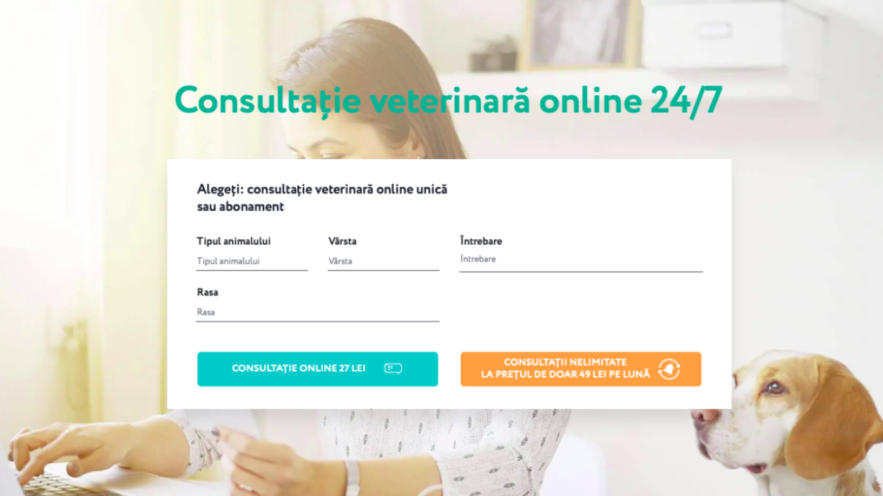 Vetonline: Ucrainenii care oferă consultații online pentru animalele de companie