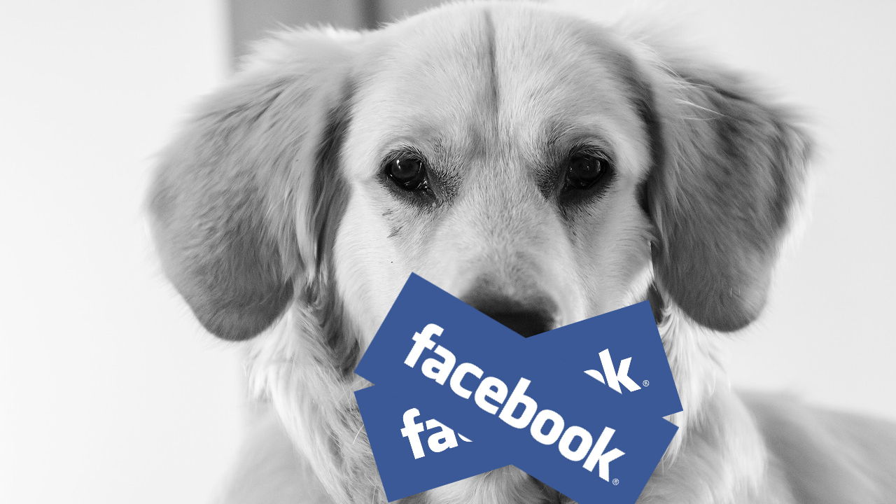 Cum și de ce ai luat ”zucc”: Facebook explică cum se face ”cenzura”