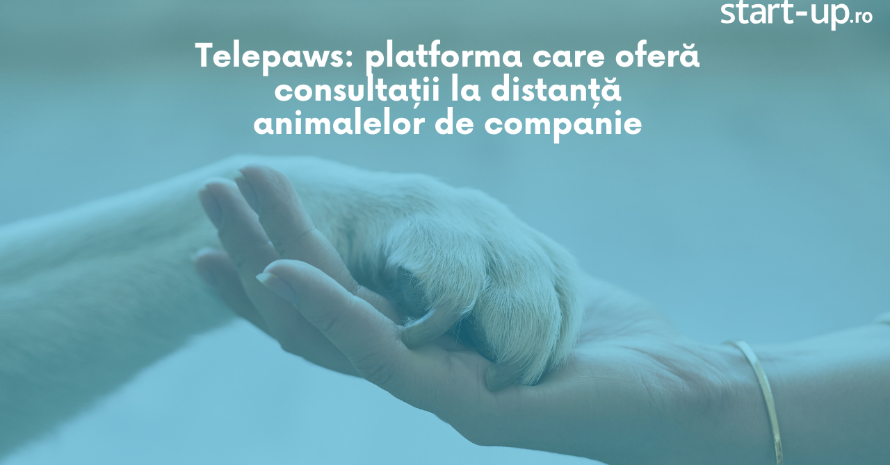 Telepaws: platforma care oferă consultații la distanță animalelor de companie