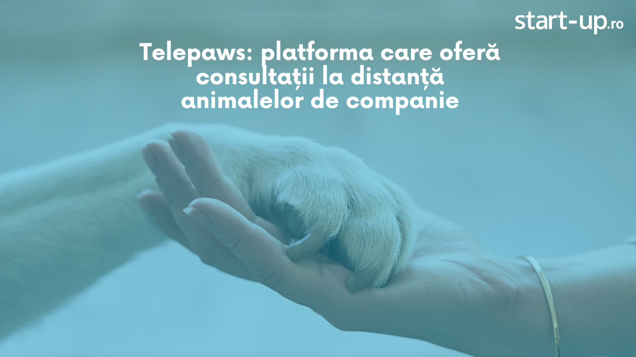 Telepaws: platforma care oferă consultații la distanță animalelor de companie