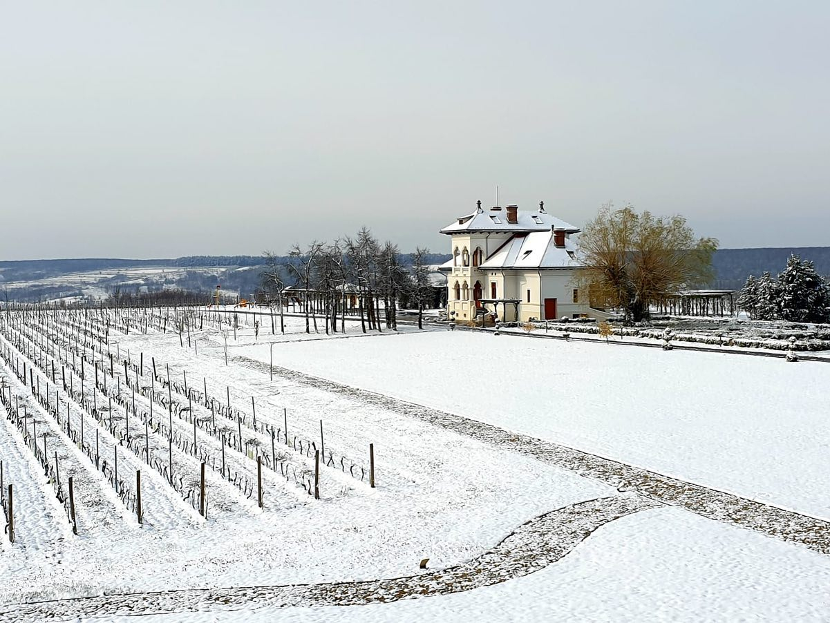 Vinurile săptămânii: Luna Decembrie - parada soiurilor Românești continuă