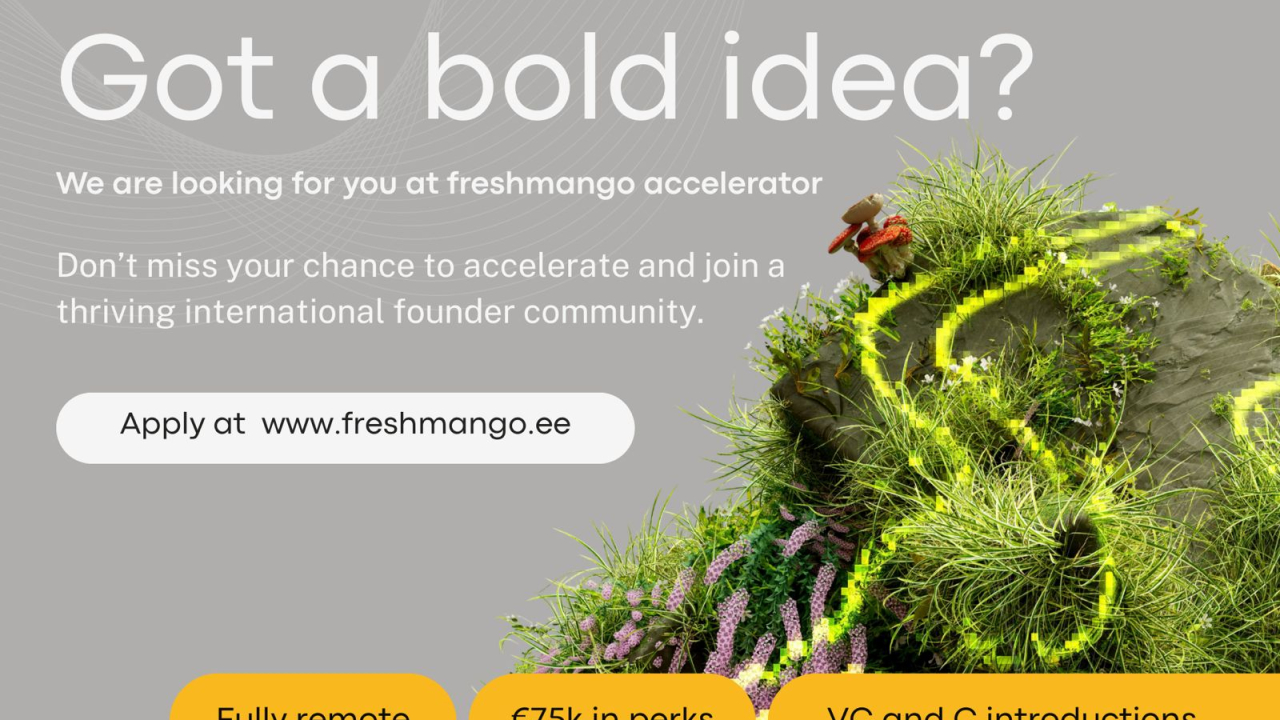 freshmango: acceleratorul estonian care găsește investiții pentru startup-urile europene
