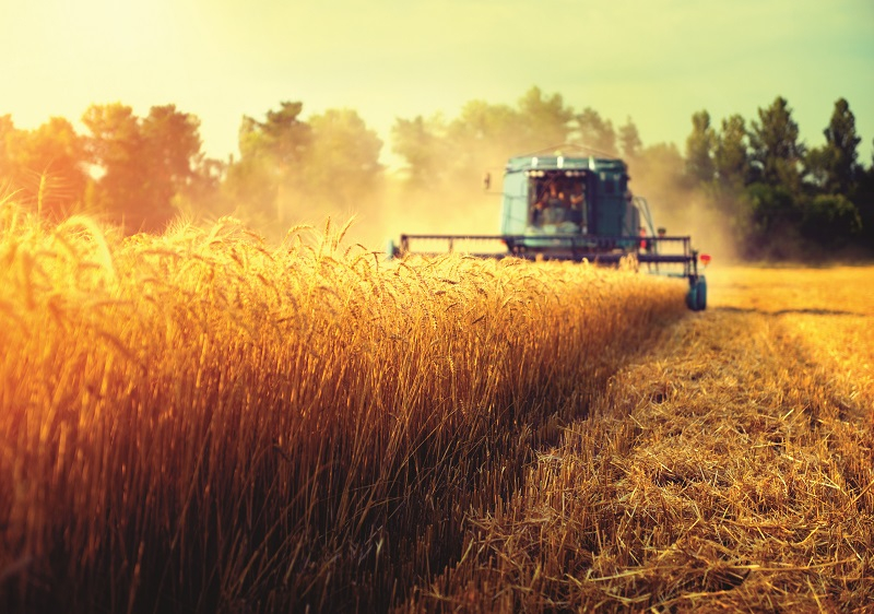 Patria Bank, produs de finanțare care acoperă 160% din subvenția APIA