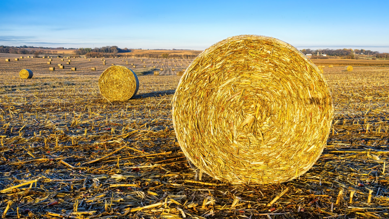 Cooperativa listată la bursă Holde Agri, creștere cu 46% anul trecut