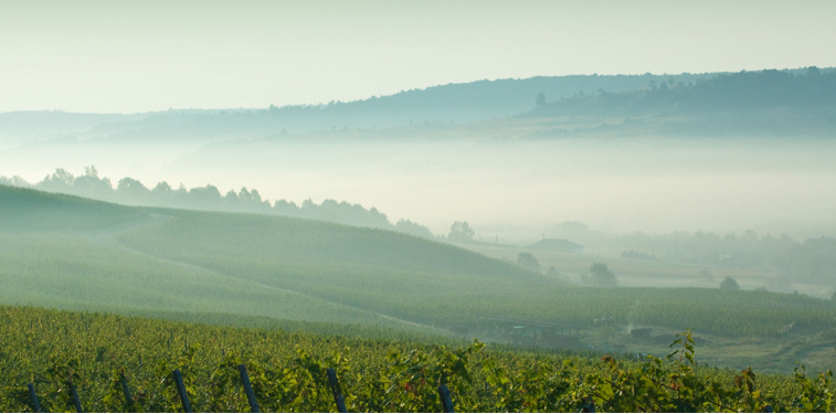 Corcova - filozofie franțuzească pe pământ oltenesc