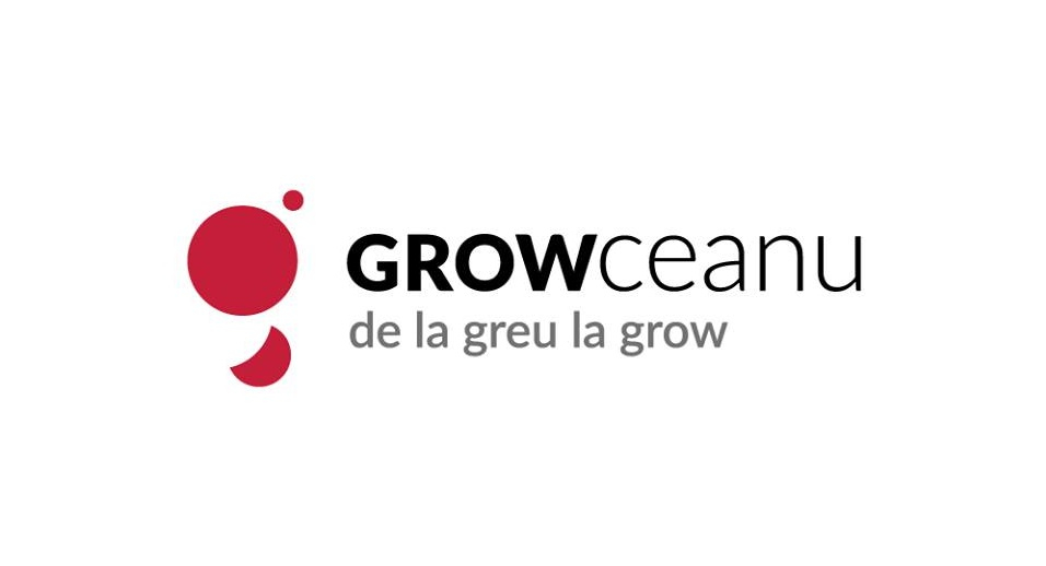 Growceanu, platforma de business angels din Timișoara