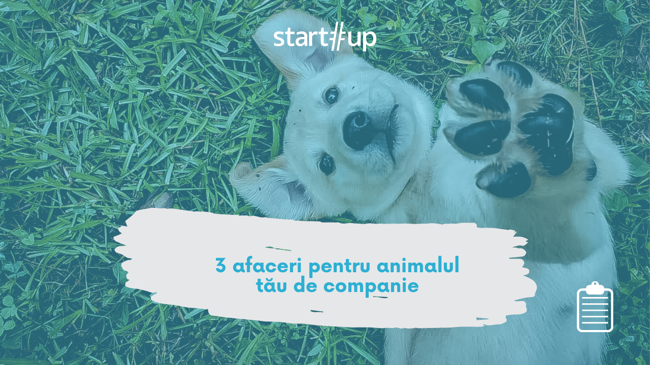 3 afaceri pentru animalul tău de companie
