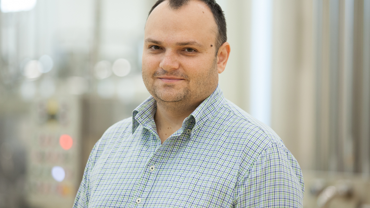 Primele rezultate pentru Lăptăria cu Caimac pe Bursă