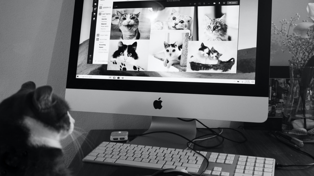 Patru site-uri inedite pe care să le vizitezi ”just for fun”