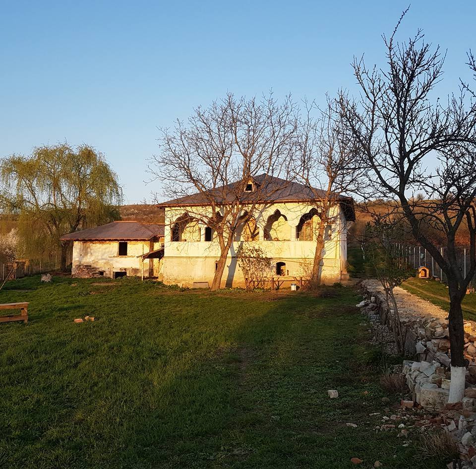 Crowdfunding pe consolid8: rată de succes de 100% pentru primele campanii