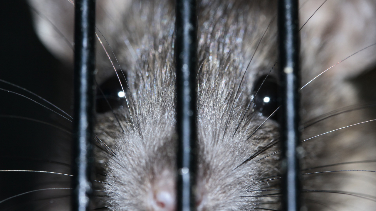 Dtrack a spionat insituțiile financiare și centrele de cercetare