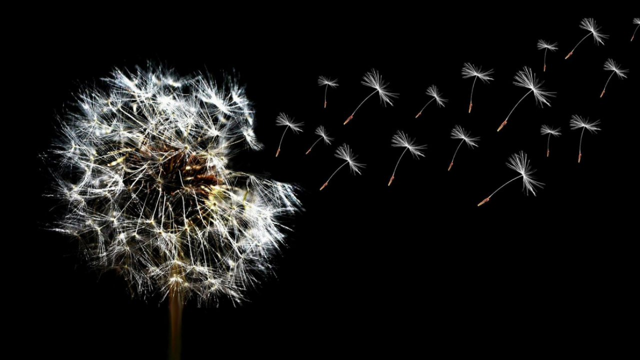 Seedstars World București: Poți primi până la 500.000 de dolari