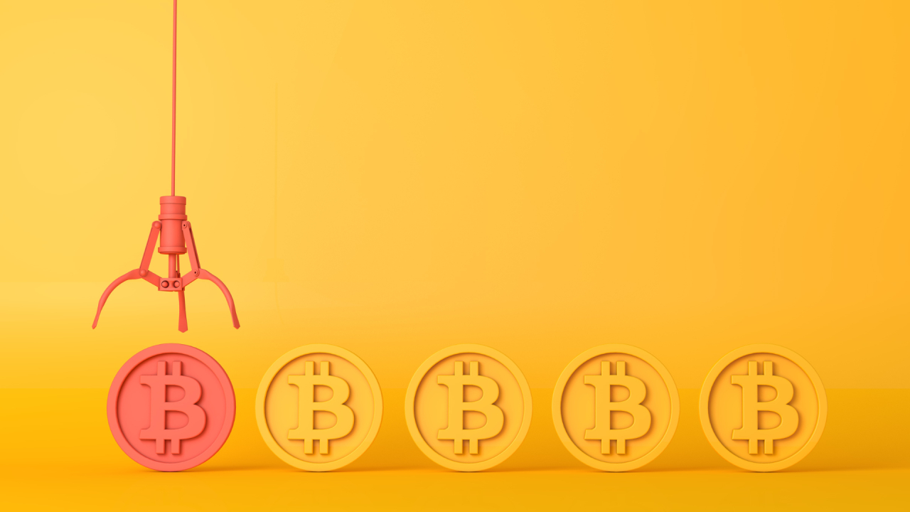 Cursuri de crypto la Universitatea din Oradea