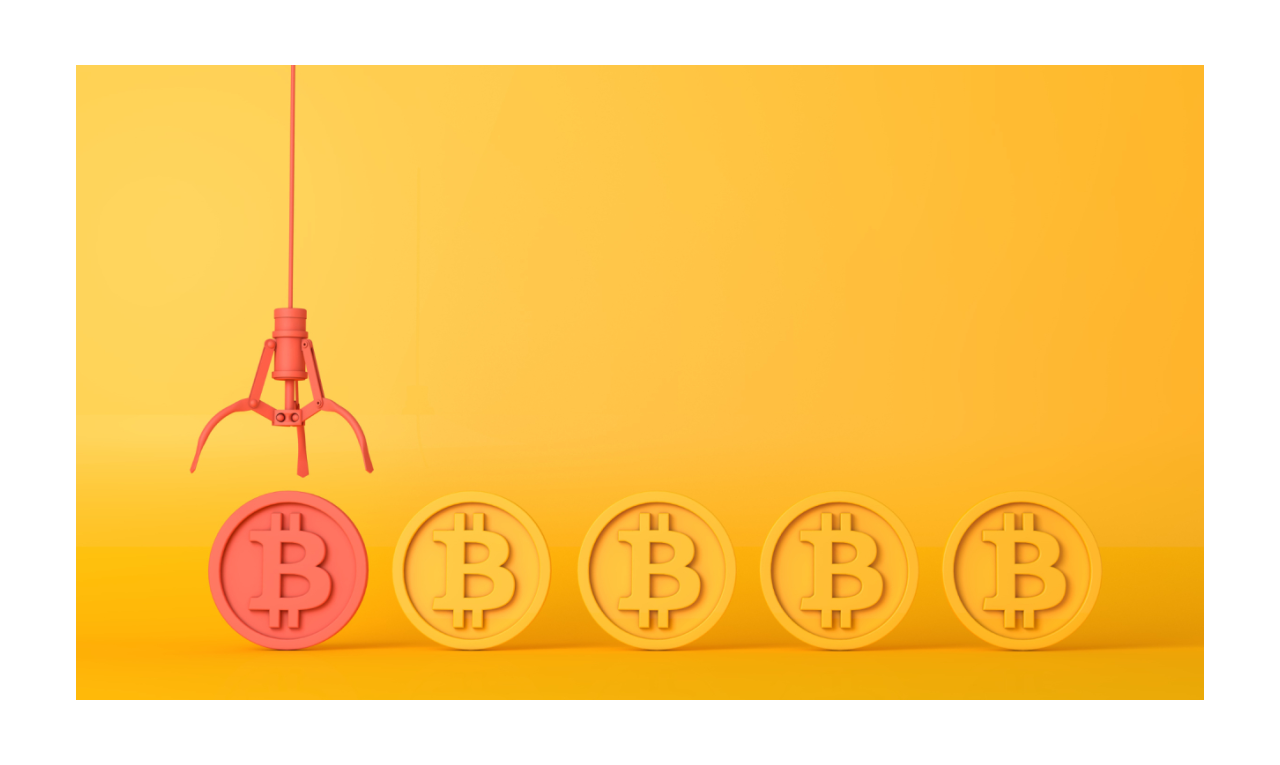 Cursuri de crypto la Universitatea din Oradea