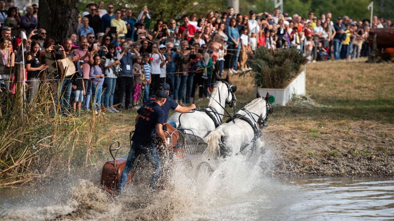 Karpatia Horse Show revine în 2022