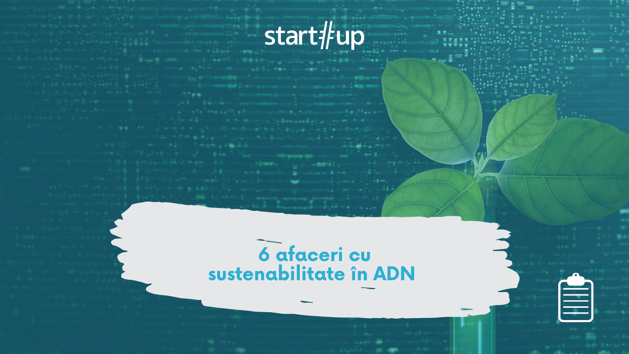 6 afaceri cu sustenabilitate în ADN 