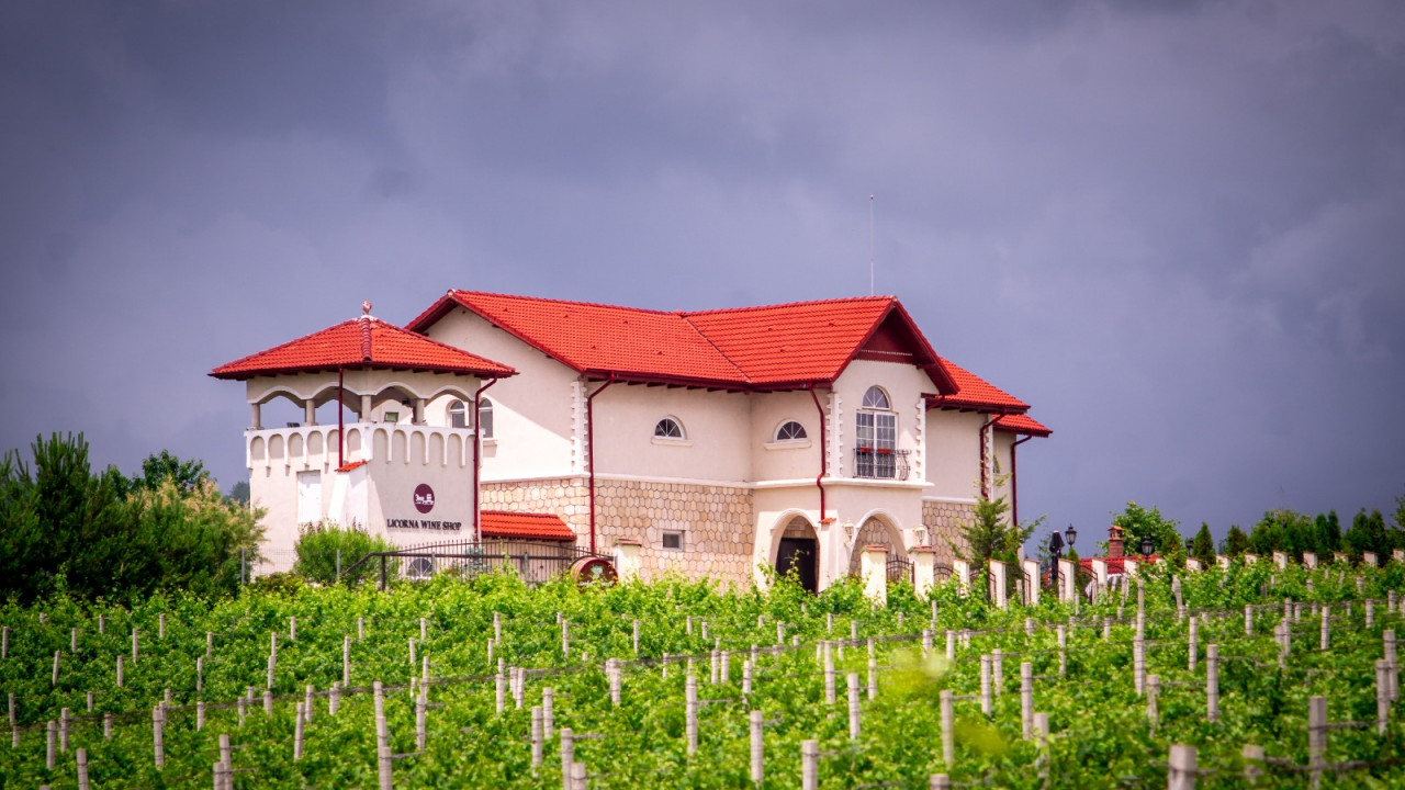 Crama săptămânii: Licorna, crama care nu a ieșit din basmul fondatorului