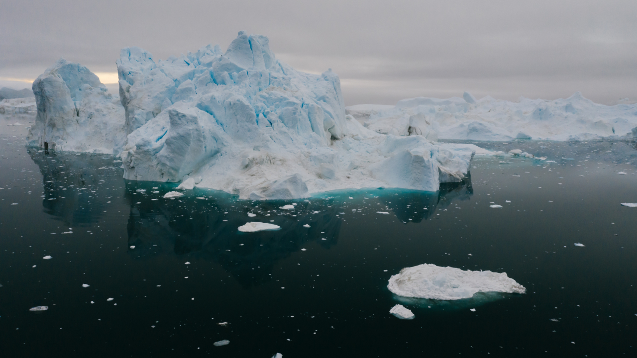 Rata de reducere a emisiilor de carbon la nivel global a ajuns la 2,5% în 2020