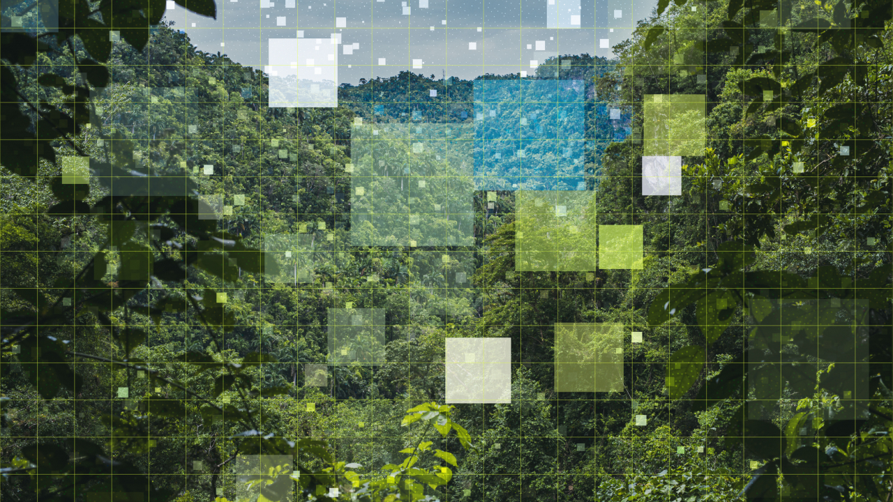 Microsoft România susține mediul academic prin Bursele ANIS