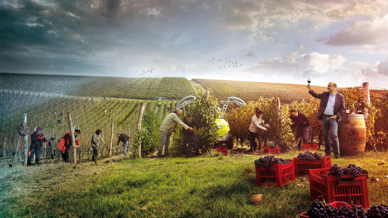 Crama săptămânii: Alira, atracția terroir-ului dobrogean