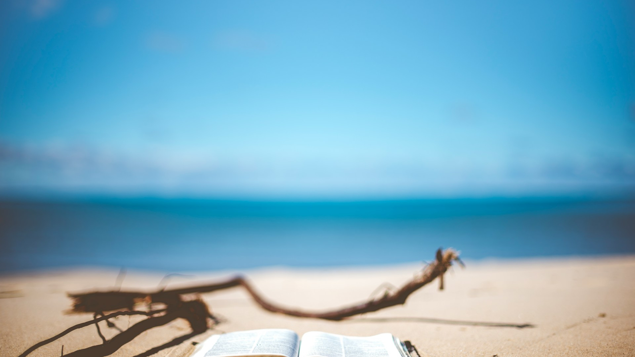 Ce cărți și-au luat românii în bagajul pentru vacanța de vară 2024