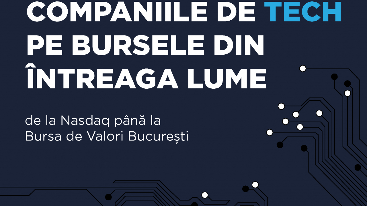 Analiza evoluției companiilor de tech pe bursă: evaluări și randamente