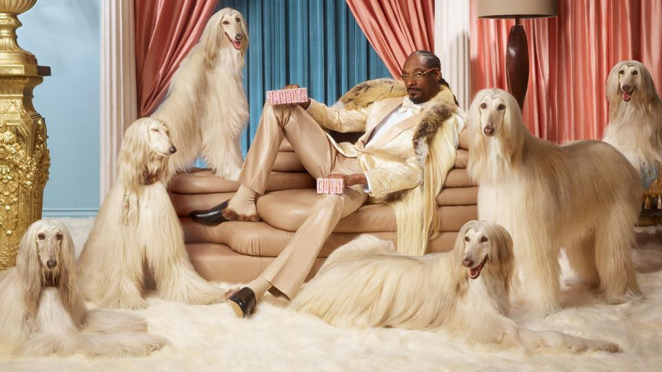”Money, mo' money”: Snoop Dogg investește în fintech