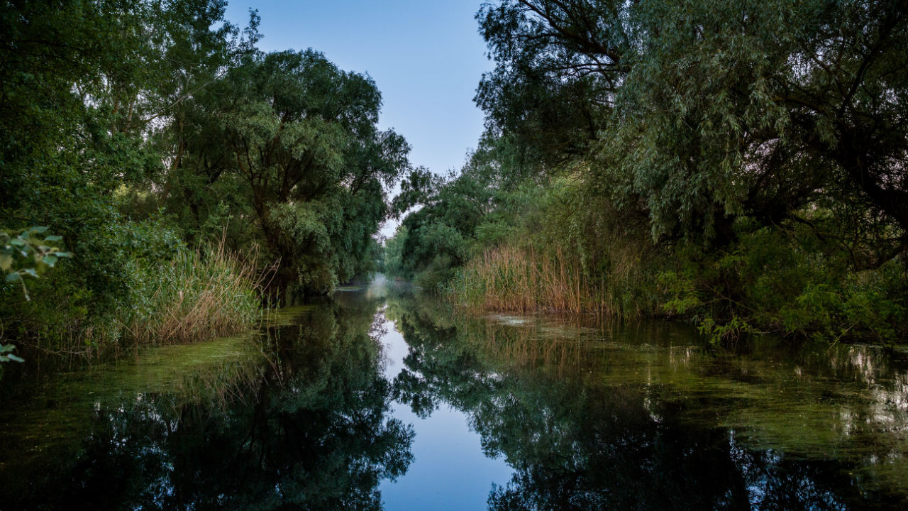 Platforma digitală care vrea să aducă 1.000.000 de oameni în Deltă