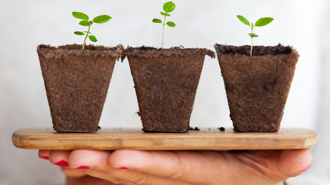 Opt modalități pentru a crește afacerea