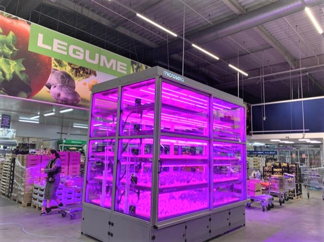 Grow & Carry: METRO introduce o microseră inteligentă în magazin