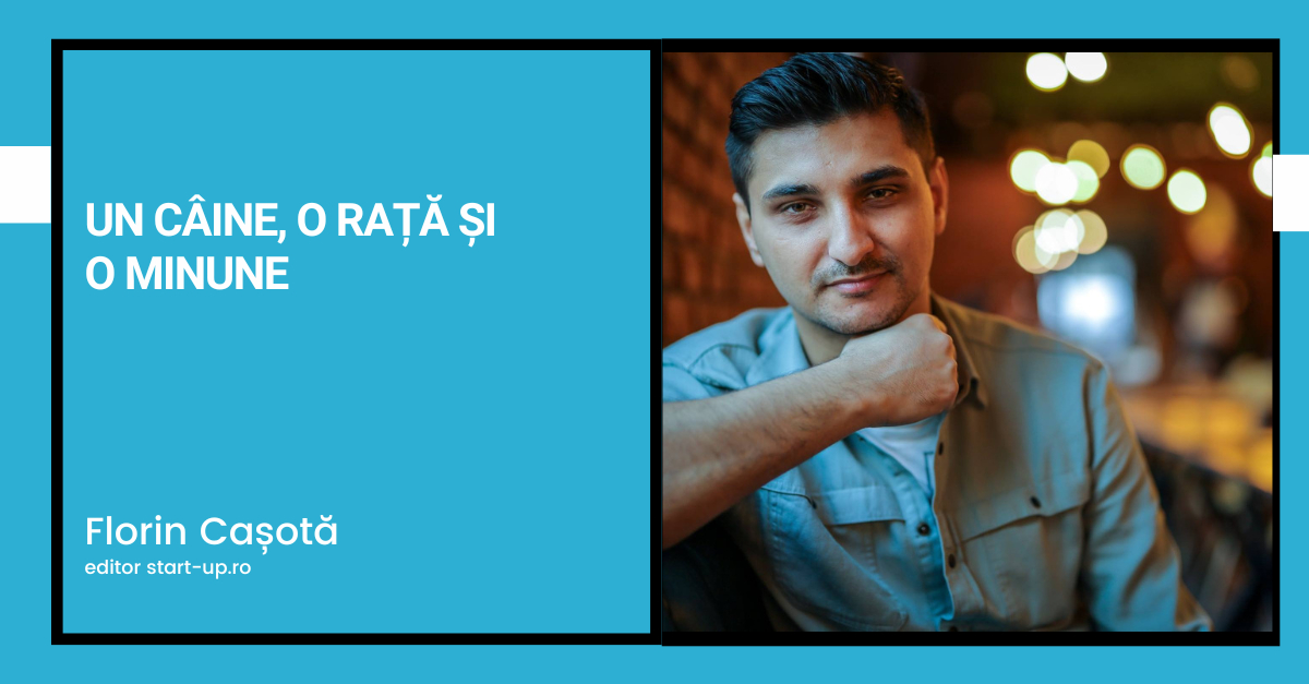 Un câine, o rață și o minune