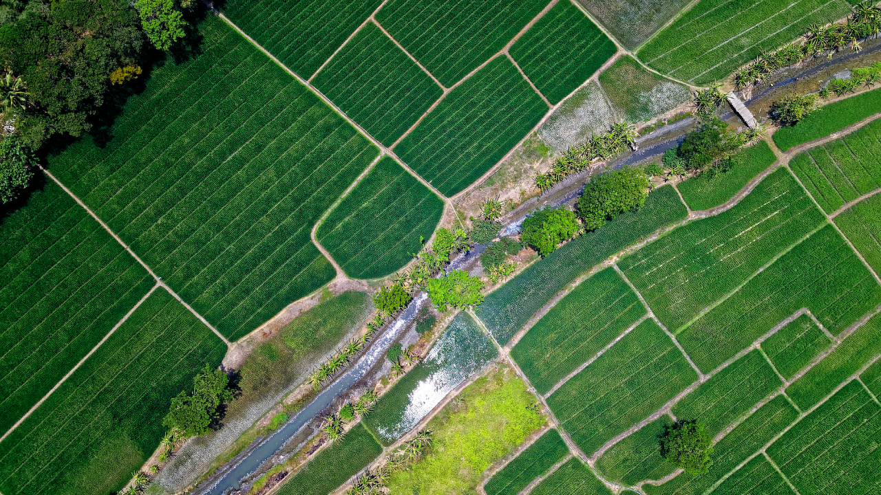 Raportul startup-urilor agritech din România: 50 de companii în ecosistem